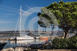 White yachts on an anchor