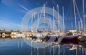 White yachts on an anchor