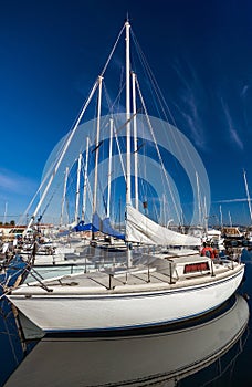 White yachts on an anchor