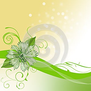 White and yellow background with green swirls and space for your text