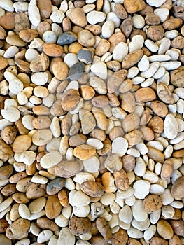 White, yellow, brown and grey rocks background showing rough texture.