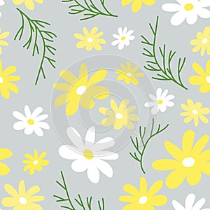 White and yellow daisy flowers on a gray background