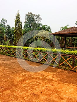 White and yellow flower with house picture with leafs