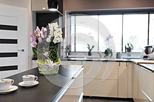 White-yellow orchids in the kitchen