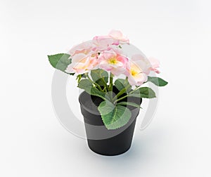White - yellow - pink plastic decorative flower in a black plastic pot is on a white background