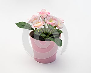 White - yellow - pink plastic decorative flower in a pink plastic pot is on a white background