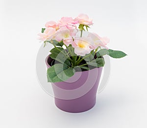 White - yellow - pink plastic decorative flower in a pink plastic pot is on a white background