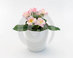 White - yellow - pink plastic decorative flower in a white plastic pot is on a white background