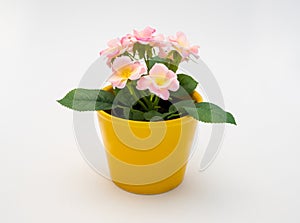 White - yellow - pink plastic decorative flower in a yellow plastic pot is on a white background