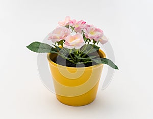 White - yellow - pink plastic decorative flower in a yellow plastic pot is on a white background