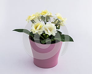 White - yellow plastic decorative flower in a pink plastic pot is on a white background