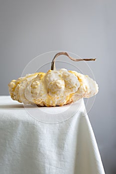 A white and yellow pumpkin on a table with white tablecloth