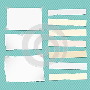 White and yellow ripped strips note, copybook, notebook paper stuck