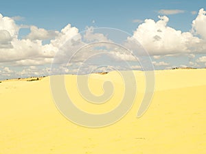 White or yellow sand dune desert and sunlight on hot summer