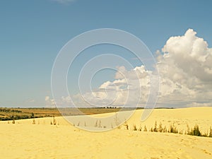 White or yellow sand dune desert and sunlight on hot summer