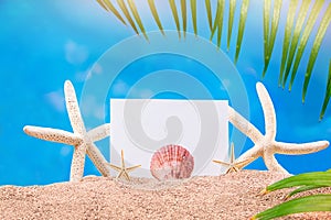 White and yellow starfish, sea shell with sheet of paper and palm trees on sand. Vacation, travel concept, holiday