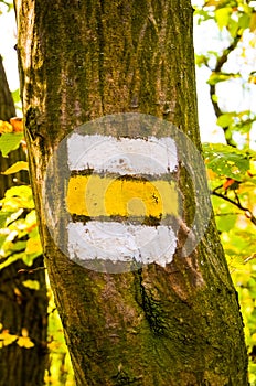 White and yellow trail marker painted on a tree in the forest. Tourist sign giving direction for the hikers during the hiking