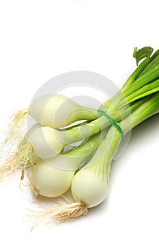 White young onions