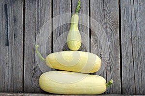 White zucchini! photo