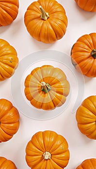 Whitebackdrop illustration showcasing an array of pumpkins with shades of orange yellow and green