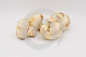 Whitecap Mushroom on a White Background