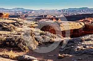 Whitecrack area- White Rim Road- Canyonlands National Park- Island in the Sky- Utah