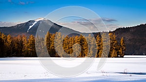 Whiteface mountain peak