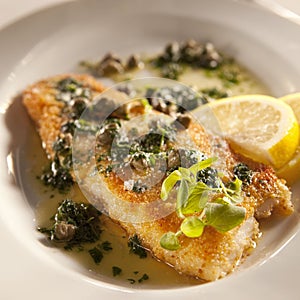 Whitefish with lemon