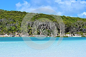 Whitehaven Beach Whitsundays