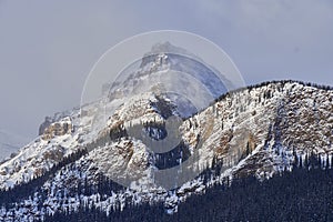 Whitehorn mountain  background  from lake Louise  Banff National Park 3