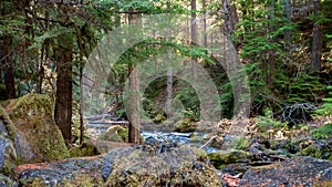 Whitehorse Falls