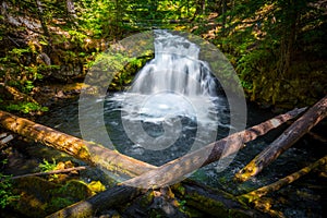 Whitehorse Falls , Umpqua Scenic Byway, Southern Oregon