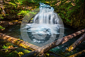 Whitehorse Falls , Umpqua Scenic Byway, Southern Oregon