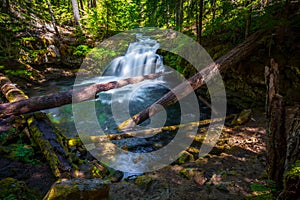 Whitehorse Falls , Umpqua Scenic Byway, Southern Oregon