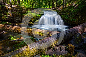 Whitehorse Falls , Umpqua Scenic Byway, Southern Oregon