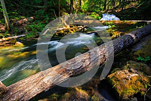 Whitehorse Falls , Umpqua Scenic Byway, Southern Oregon