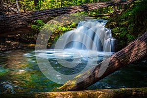 Whitehorse Falls , Umpqua Scenic Byway, Southern Oregon