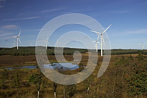 Whitelee Windfarm Turbines