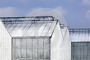 Whitened greenhouses