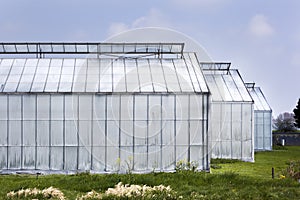 Whitened greenhouses photo