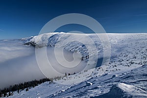 Whiteness in Giant Mountains / Karkonosze