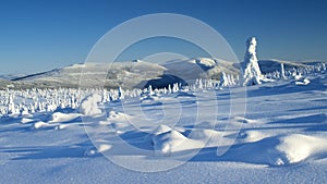 Whiteness in Giant Mountains / Karkonosze