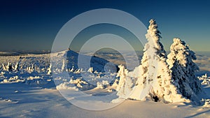 Whiteness in Giant Mountains / Karkonosze