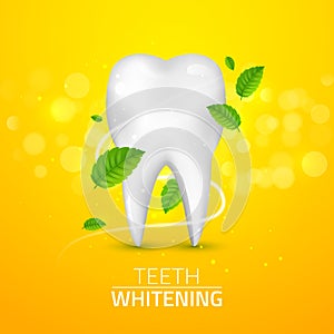 Whitening tooth ads, with mint leaves on green background. Green mint leaves clean fresh concept. Teeth health