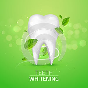 Whitening tooth ads, with mint leaves on green background. Green mint leaves clean fresh concept. Teeth health