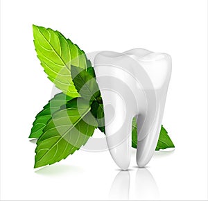 Whitening tooth ads, with mint leaves. Green mint leaves clean fresh concept
