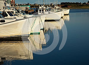 White fishing boats reflecting in water