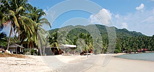 Whitesand beach with palms