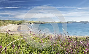 Whitesands Beach at Bright Summer Day