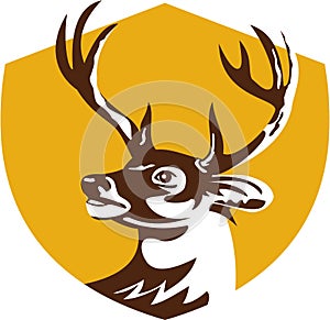 Whitetail Deer Buck Head Crest Retro